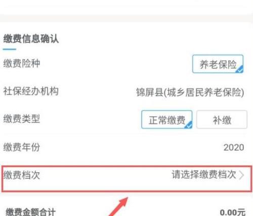 手机上如何交社保缴费？（方便快捷的移动缴费方式让社保无忧）