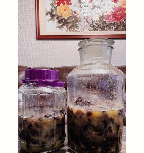 自制葡萄酒的简易方法（掌握家庭酿酒技巧，享受纯正的自酿葡萄酒）