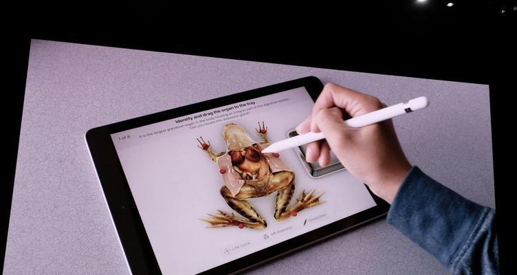 探讨iPad中性价比最高的款式（选择最适合你的iPad，不仅仅看价格）
