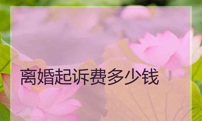 离婚起诉流程详解（离婚起诉流程及所需费用一览）
