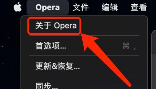 如何查看系统版本号信息（轻松获取你的系统版本号）