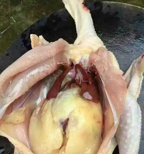 如何有效减少内脏脂肪（掌握关键方法）