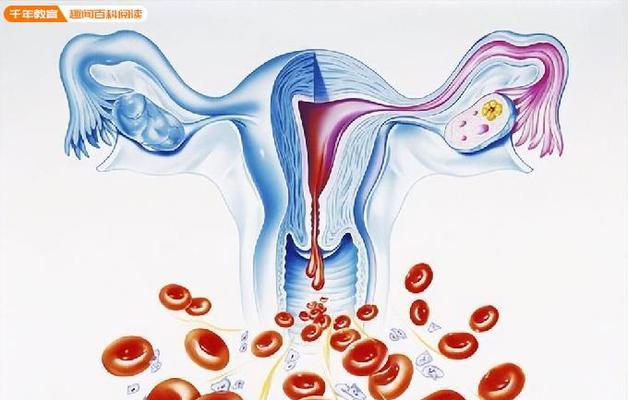 正常绝经前的症状解析（探寻女性正常绝经前的症状及其影响）