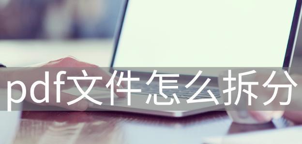 如何制作PDF格式文件（简单易学的方法帮助您创建PDF文件）