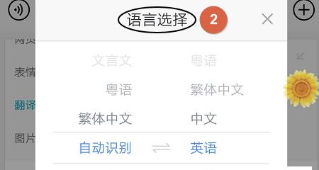 手机翻译软件的推荐及使用指南（为您推荐最佳翻译软件）