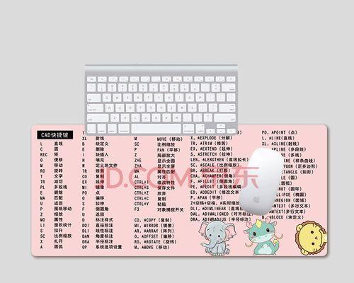 办公快捷键大全（掌握办公快捷键）