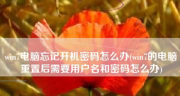 重置电脑开机密码的方法（解锁电脑的简便方法和技巧）