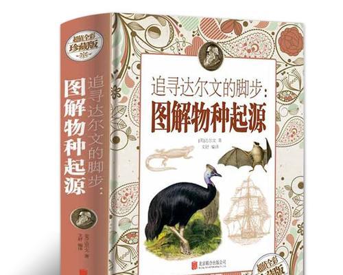 人类起源史（揭开人类起源的神秘面纱）