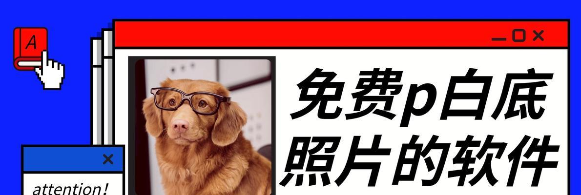 推荐一款高效的照片白底处理软件（简单易用的工具让您快速将照片背景变成白色）