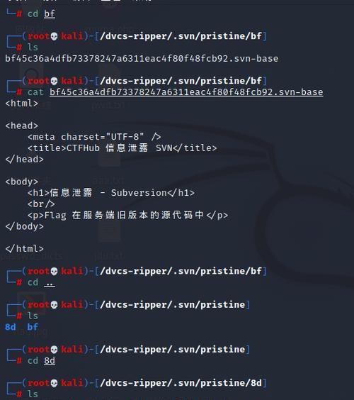 从ZIP到RAR（探索最佳ZIP转RAR软件）