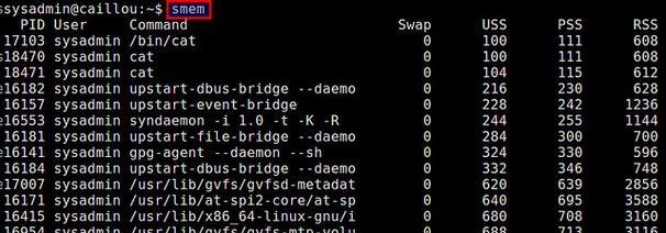 深入解析Linux内存使用情况（掌握Linux内存管理及优化技巧）