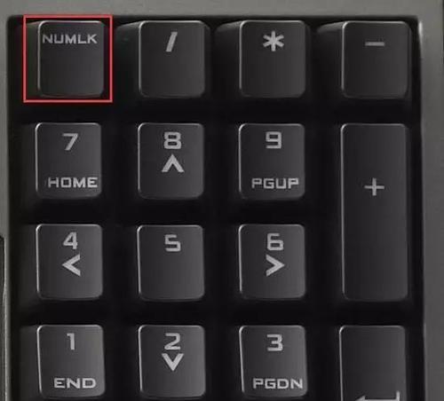 键盘故障导致无法输入数字的原因及解决方法（详解键盘数字输入失效的可能原因与应对之策）