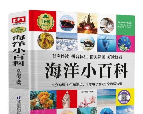 旗舰版与标准版之间的差异（深入了解两个版本的特点与功能）