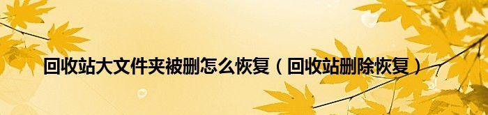回收站误删文件怎么恢复（轻松教你恢复回收站中不小心删除的文件）