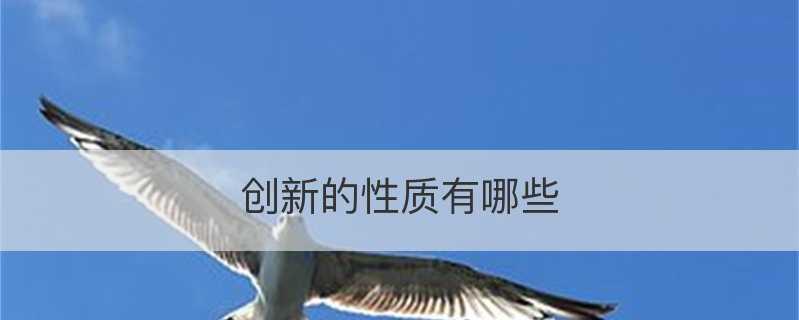 不同性质的公司及其特点（探索各类公司的运营方式）