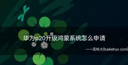 鸿蒙系统的软件更新申请流程（了解鸿蒙系统的软件更新申请步骤和注意事项）