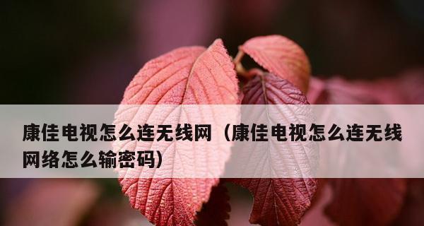 网络电视的连接与观看方法（轻松实现网络电视观影体验）