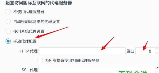 服务器地址获取方法详解（实用的网络技巧）