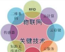 常见的网络系统类型（探索网络系统的分类和特点）