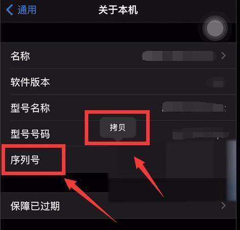 如何通过iPhone序列号查询手机信息（全面了解iPhone序列号的用途和查询方法）