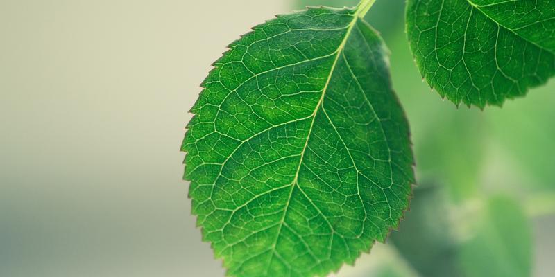解决台式电脑开机无法进入桌面的故障（排除开机问题的实用方法）