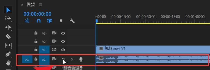 分享视频无声处理方法（让你的视频更专业）