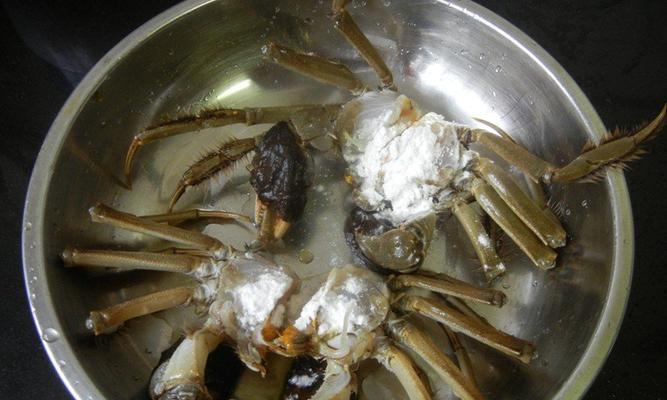 如何最佳保存活螃蟹（掌握正确方法）