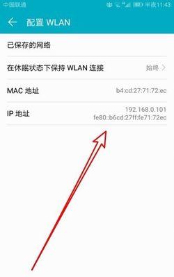 如何查询自己的IP地址（轻松了解你的网络身份）