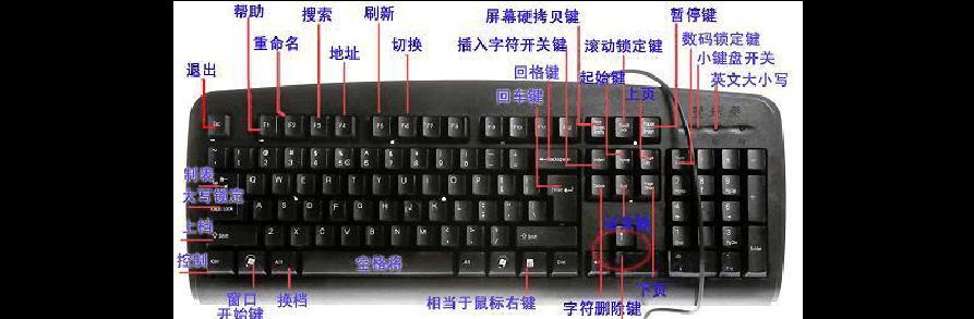 电脑键盘的使用与认识（掌握电脑键盘的技巧）
