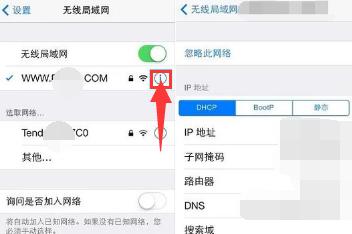 手机为什么连不上WiFi（寻找手机无法连接WiFi的原因与解决方案）