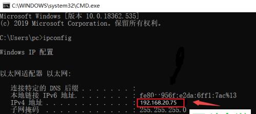 探索查询网址IP地址命令的使用方法（提升网络安全的关键工具）
