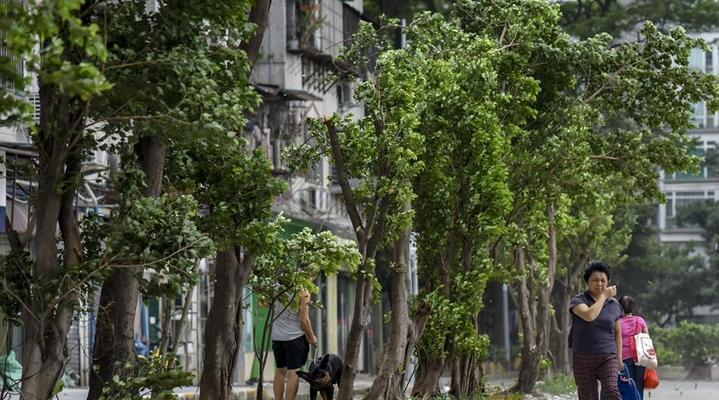 台风山竹——破坏之力与人类抗争（揭秘台风山竹的形成和影响）