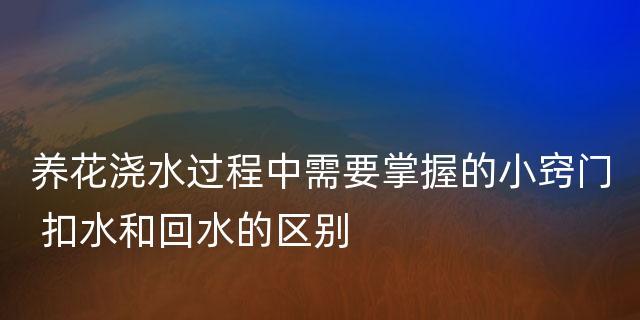 如何让网络速度飞快？试试这些提速小技巧！