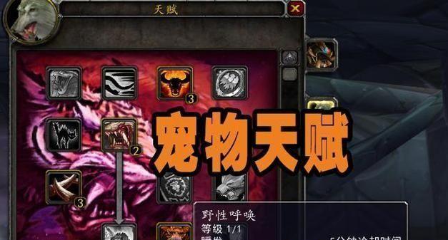 怀旧服宠物技能一览表？宠物技能有哪些特点和常见问题？