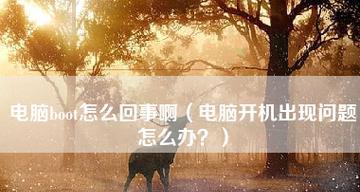 电脑开机不显示怎么回事？如何快速诊断和解决？