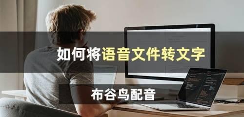 录音转文字软件有哪些？如何选择适合自己的软件？