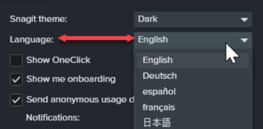 电脑网页图片显示不出来怎么办？如何快速解决？
