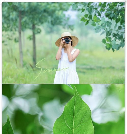 阴天使用红魔手机拍照技巧有哪些？如何拍出好看的阴天照片？