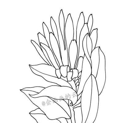 投影仪勾线画画有哪些技巧可以画得更好看？