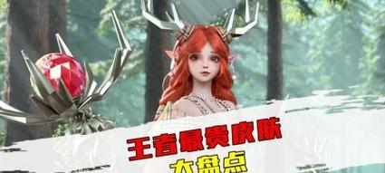 2025年王者荣耀选秀大会冠军得主叫什么？