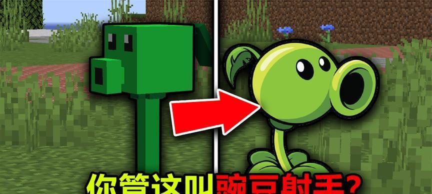 我的世界植物大战僵尸购买建议有哪些？