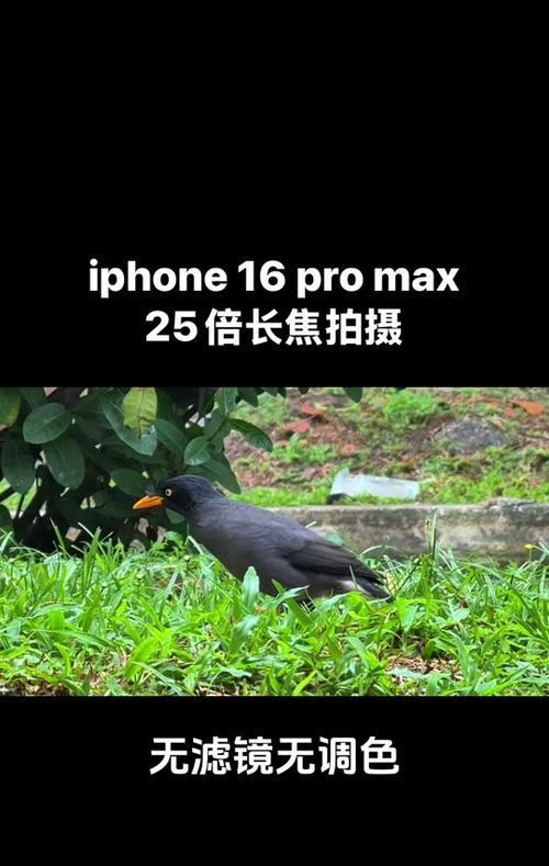 苹果手机后置拍照为何出现朦胧效果？如何解决？