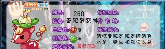 洛克王国手机刷级技巧有哪些？