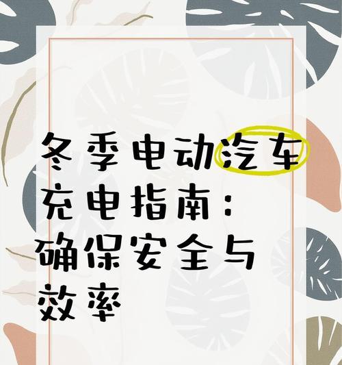 车载充电器连接车辆的正确步骤是什么？连接后如何确保安全使用？