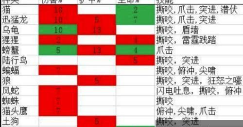 魔兽世界中专注技能的正确使用方法是什么？