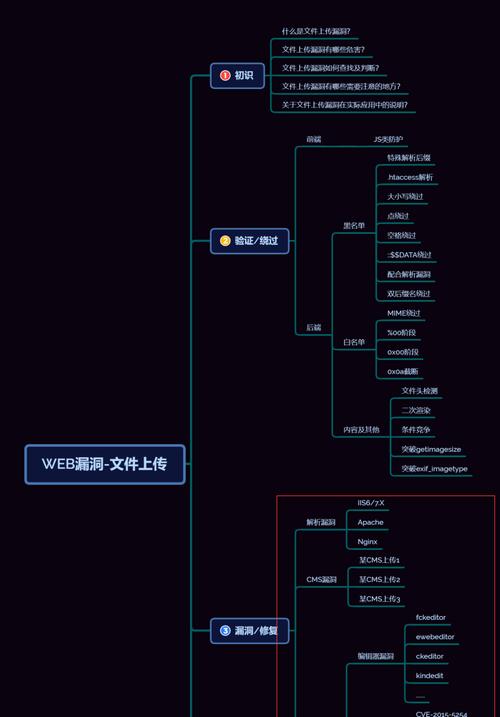 服务器查看漏洞数据的方法是什么？有哪些步骤？