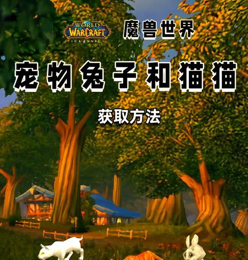魔兽世界双宠物作战策略是什么？