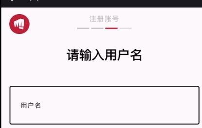 英雄联盟拳头助手如何使用？功能有哪些？
