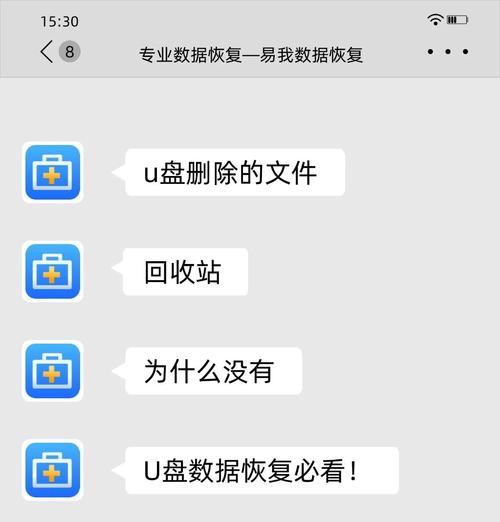 如何找回误删的U盘资料（快速教你恢复不慎删除的文件）