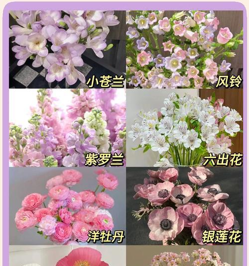 十种美丽冬季花卉品种大揭秘（让冬日绽放盛世繁华的十大开放花卉）